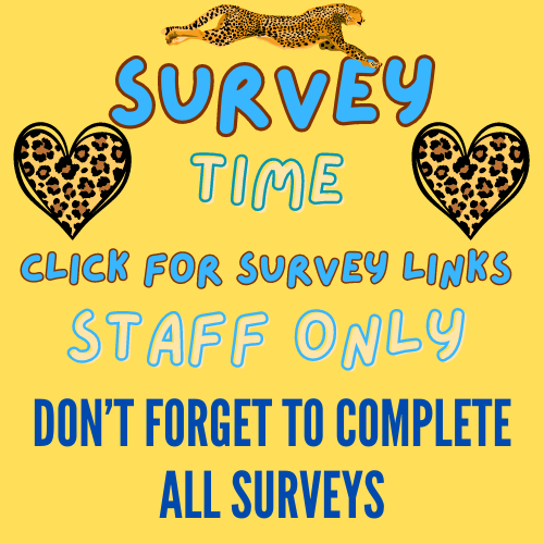  Staff Surveys